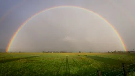 Care sunt culorile curcubeului? Ce înseamnă ROGVAIV?