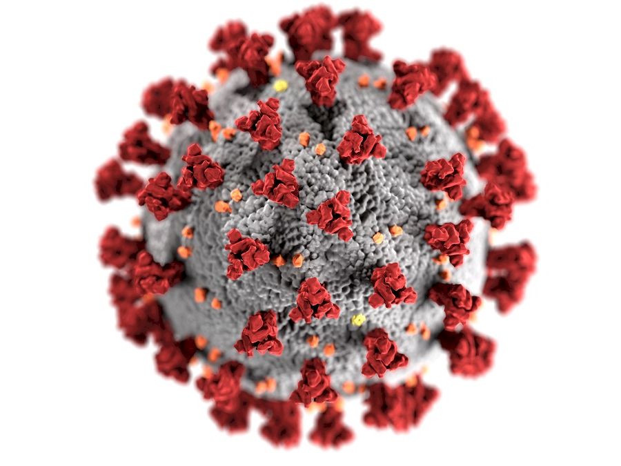 coronavirus-3992933