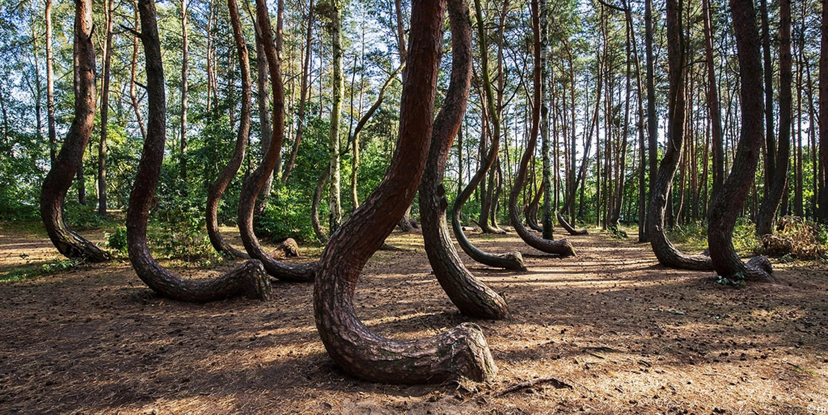 Unde Se Află Triunghiul Românesc Al Bermudelor