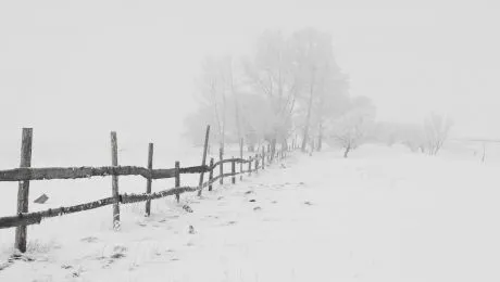 Care a fost cea mai grea iarnă din istoria Bucureștiului? Care e povestea „iernii lui Hangerliu”?