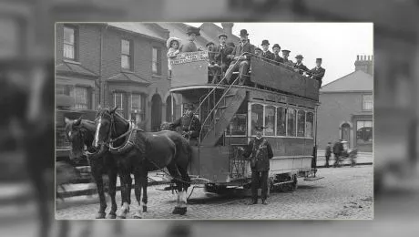 Cum se asigurau bucureștenii că animalele care trăgeau tramvaiele nu plecau după femele?