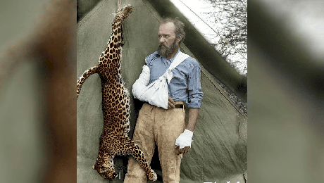 Povestea lui Carl Akeley, americanul care a ucis leopardul cu mâinile goale